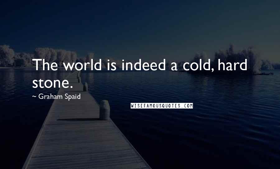 Graham Spaid quotes: The world is indeed a cold, hard stone.