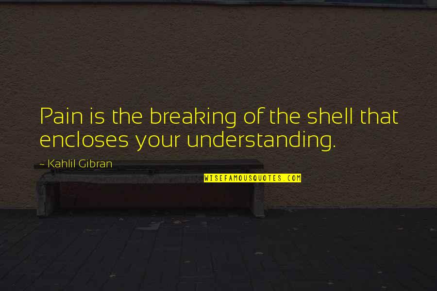 Graille Message Quotes By Kahlil Gibran: Pain is the breaking of the shell that