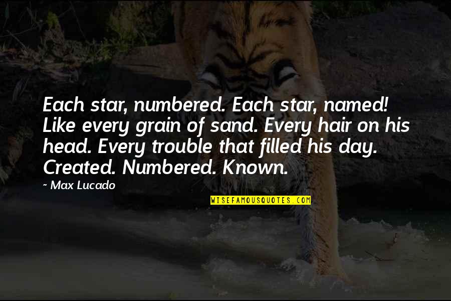 Grain Of Sand Quotes By Max Lucado: Each star, numbered. Each star, named! Like every