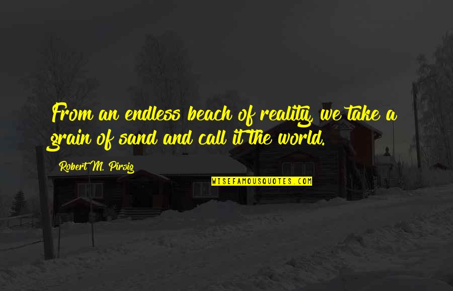Grain Of Sand Quotes By Robert M. Pirsig: From an endless beach of reality, we take
