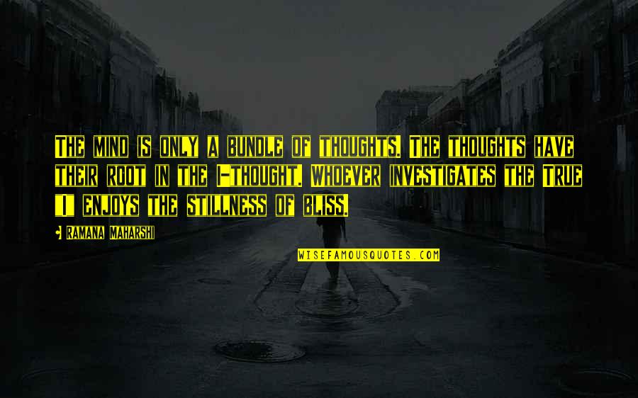 Grajeda The Place Quotes By Ramana Maharshi: The mind is only a bundle of thoughts.