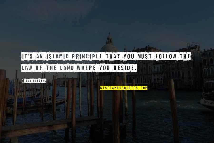 Grajic Quotes By Cat Stevens: It's an Islamic principle that you must follow