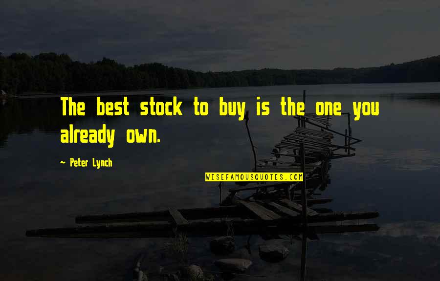 Gralen Wilson Quotes By Peter Lynch: The best stock to buy is the one