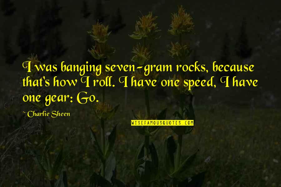 Gram Quotes By Charlie Sheen: I was banging seven-gram rocks, because that's how