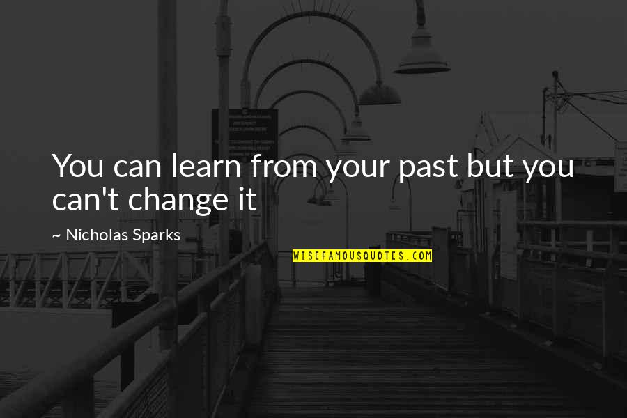 Gramatik Tour Quotes By Nicholas Sparks: You can learn from your past but you Gramatik Tour Quotes By Nicholas Sparks: You can learn from your past but you