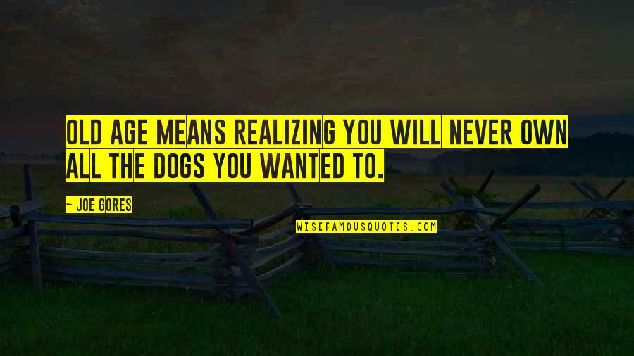 Grammaire En Quotes By Joe Gores: Old age means realizing you will never own