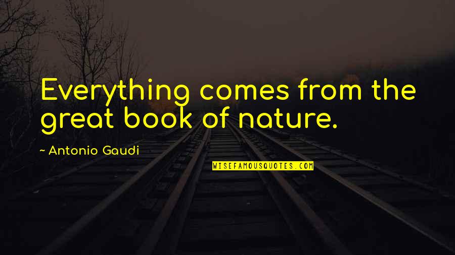 Grammaticist Quotes By Antonio Gaudi: Everything comes from the great book of nature.