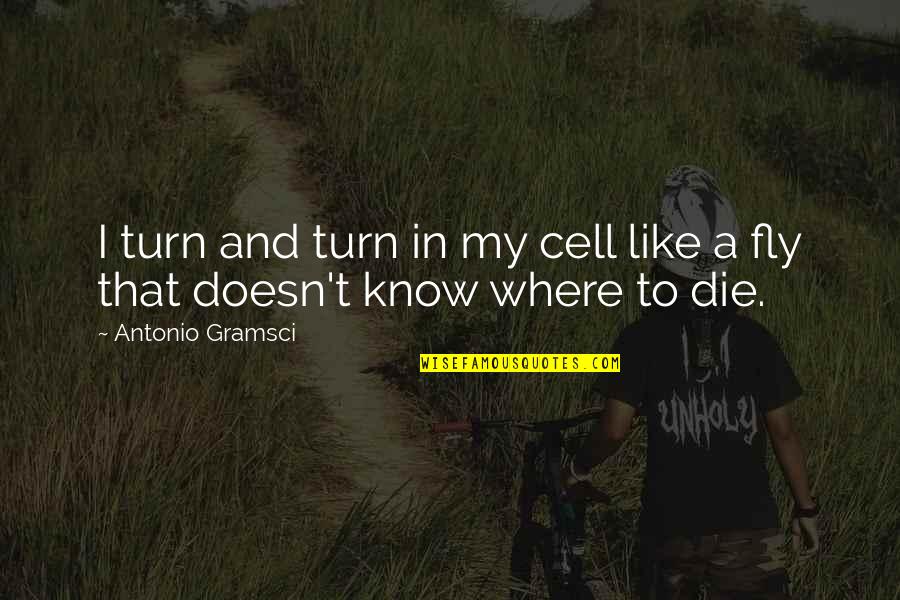 Gramsci's Quotes By Antonio Gramsci: I turn and turn in my cell like Gramsci's Quotes By Antonio Gramsci: I turn and turn in my cell like