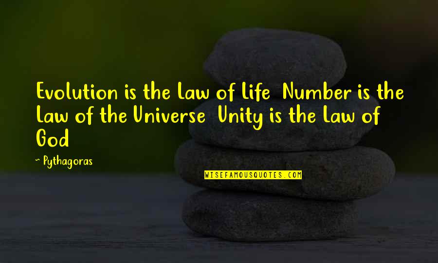 Granau Employees Quotes By Pythagoras: Evolution is the Law of Life Number is