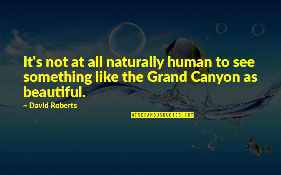 Grand Canyon Quotes By David Roberts: It's not at all naturally human to see