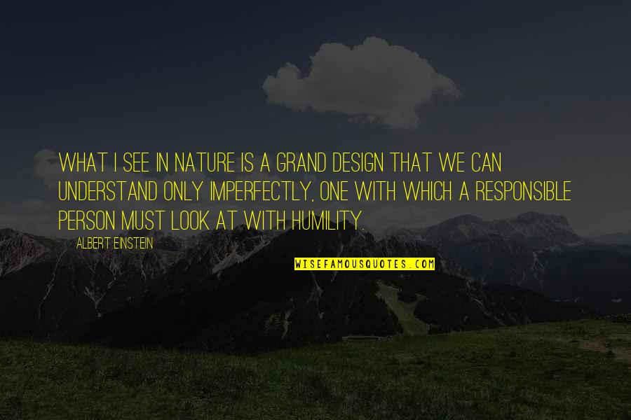 Grand Design Quotes By Albert Einstein: What I see in Nature is a grand