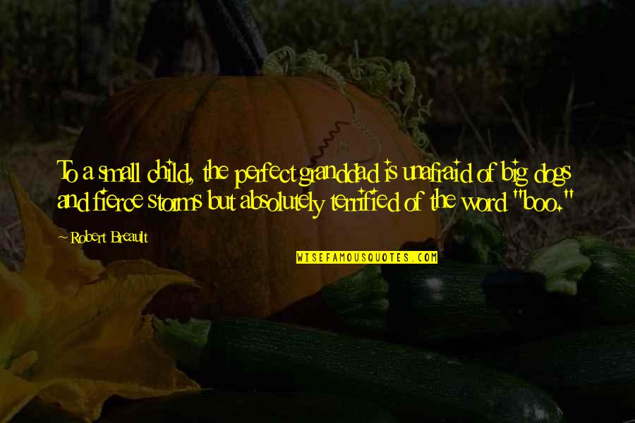 Granddad's Quotes By Robert Breault: To a small child, the perfect granddad is