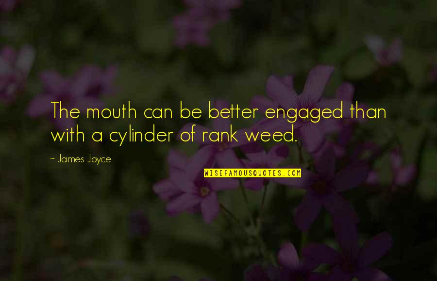 Granddaughters And Grandmas Quotes By James Joyce: The mouth can be better engaged than with