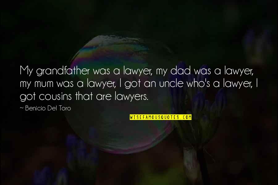 Grandfather Dad Quotes By Benicio Del Toro: My grandfather was a lawyer, my dad was