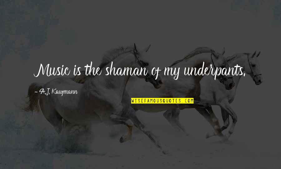 Grandfather Stalking Wolf Quotes By A.J. Kaufmann: Music is the shaman of my underpants.