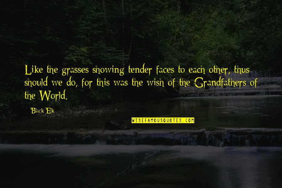 Grandfathers Quotes By Black Elk: Like the grasses showing tender faces to each