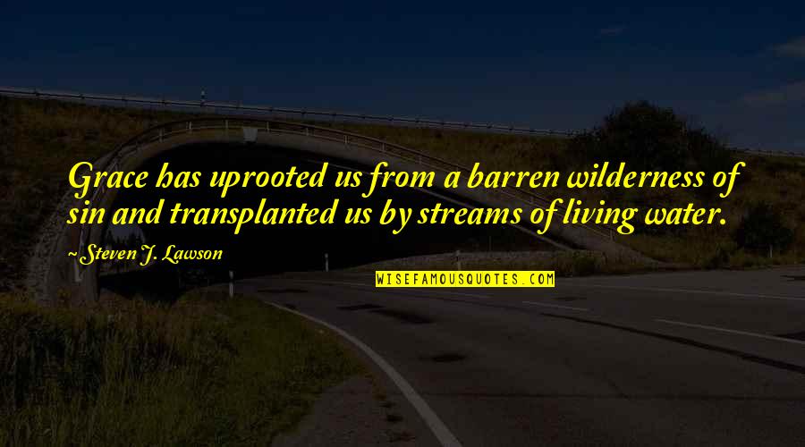 Grandpa's Hunting Quotes By Steven J. Lawson: Grace has uprooted us from a barren wilderness