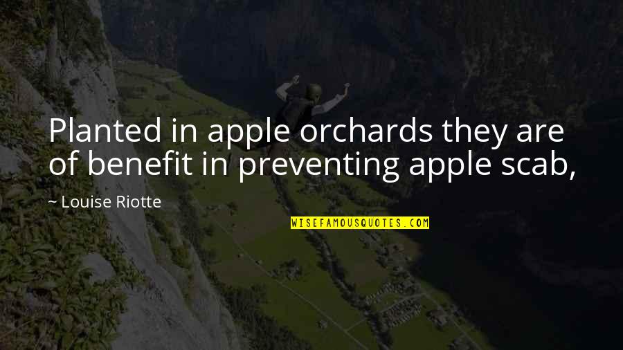 Grange Insurance Quotes By Louise Riotte: Planted in apple orchards they are of benefit