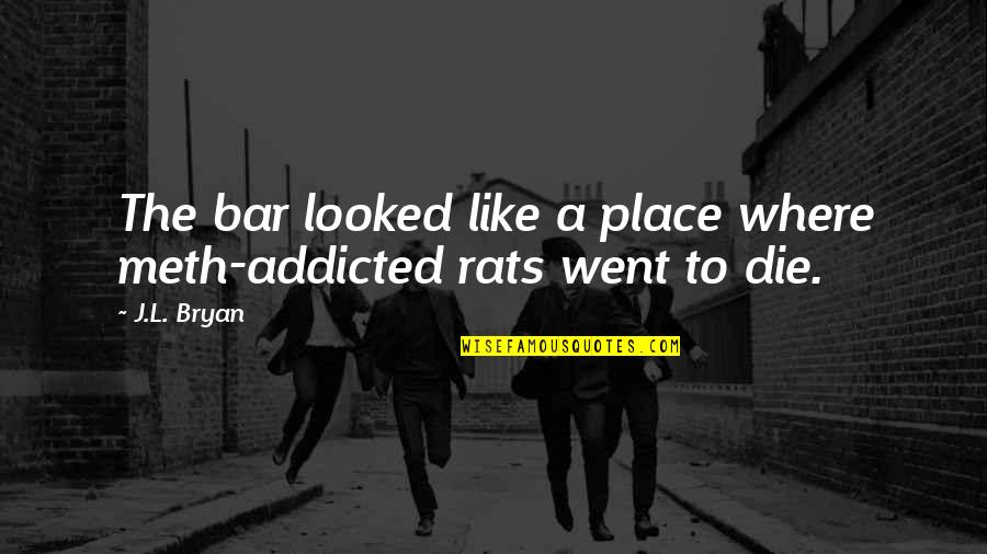 Granitt Kantstein Quotes By J.L. Bryan: The bar looked like a place where meth-addicted