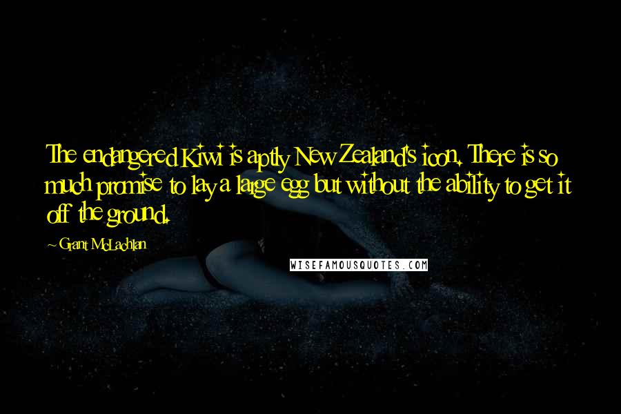 Grant McLachlan quotes: The endangered Kiwi is aptly New Zealand's icon. There is so much promise to lay a large egg but without the ability to get it off the ground.