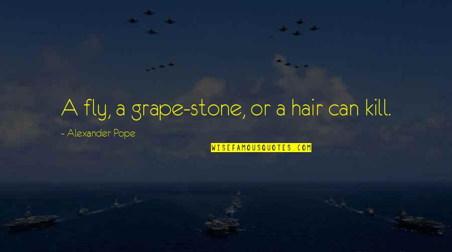 Grape Quotes By Alexander Pope: A fly, a grape-stone, or a hair can