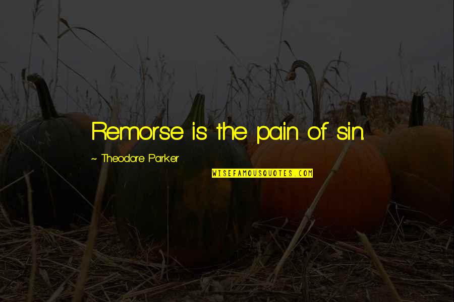Grapefruits Quotes By Theodore Parker: Remorse is the pain of sin.