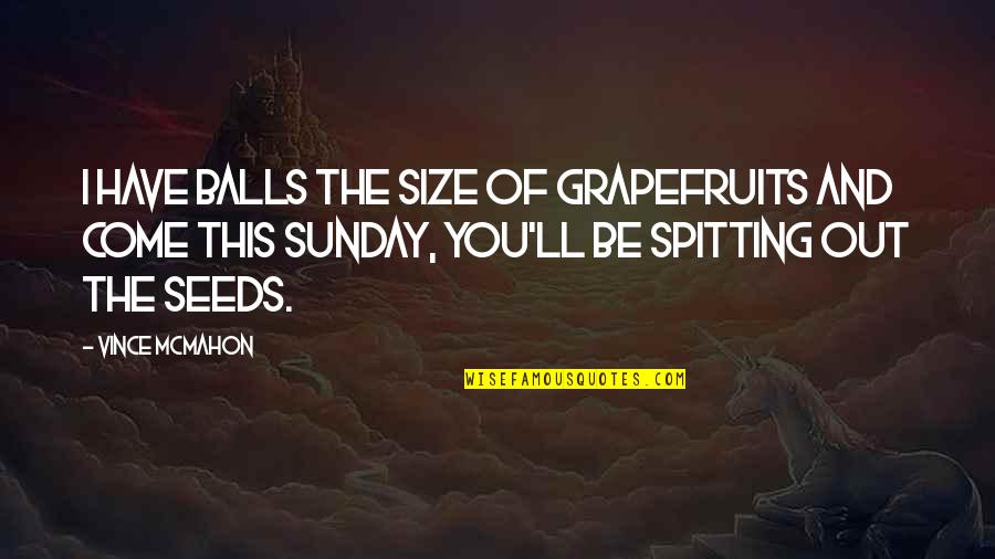 Grapefruits Quotes By Vince McMahon: I have balls the size of grapefruits and