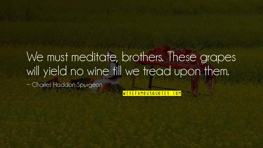 Grapes And Wine Quotes By Charles Haddon Spurgeon: We must meditate, brothers. These grapes will yield