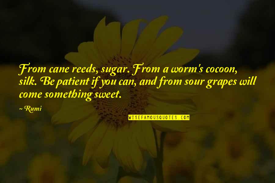 Grapes Quotes By Rumi: From cane reeds, sugar. From a worm's cocoon,