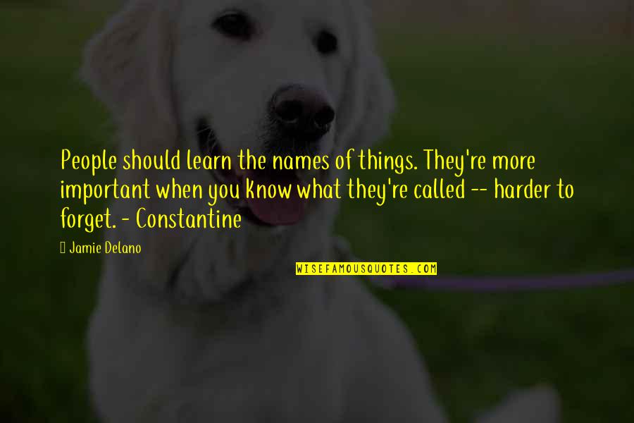 Graphic Quotes By Jamie Delano: People should learn the names of things. They're