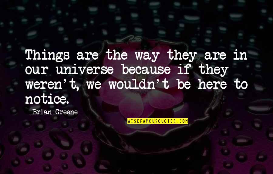 Grappige Koppel Quotes By Brian Greene: Things are the way they are in our
