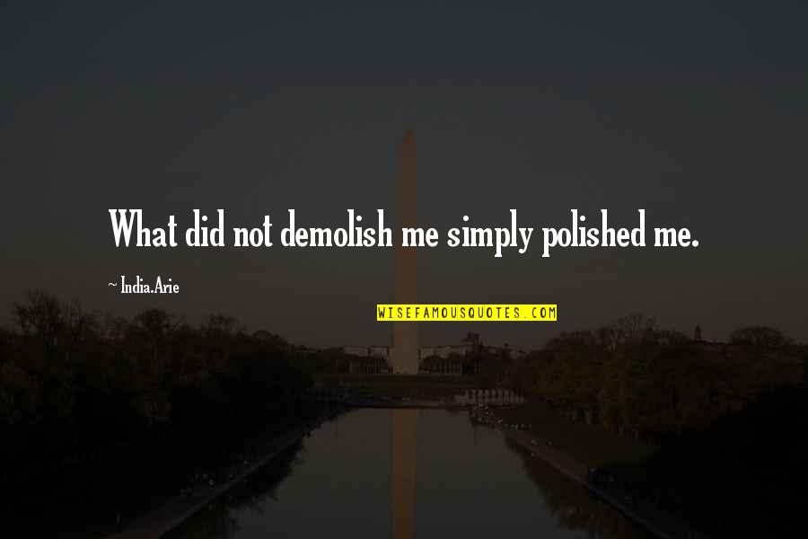 Grappige Reizen Quotes By India.Arie: What did not demolish me simply polished me.