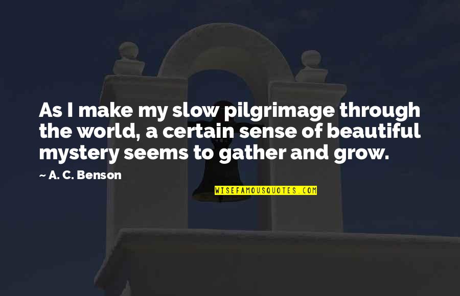 Grappige Ziekenhuis Quotes By A. C. Benson: As I make my slow pilgrimage through the