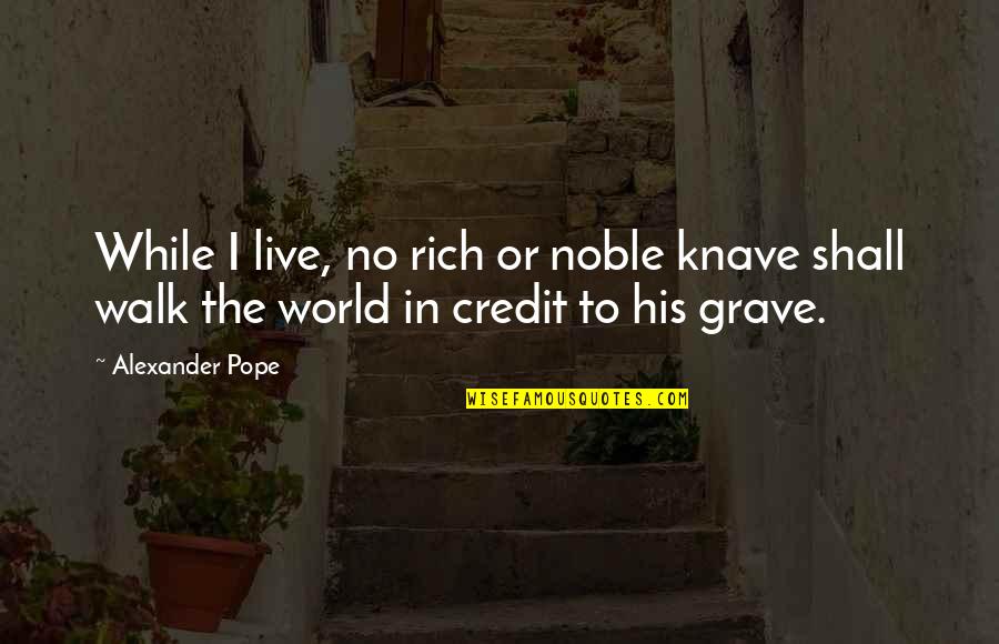 Grappigste Liedjes Quotes By Alexander Pope: While I live, no rich or noble knave
