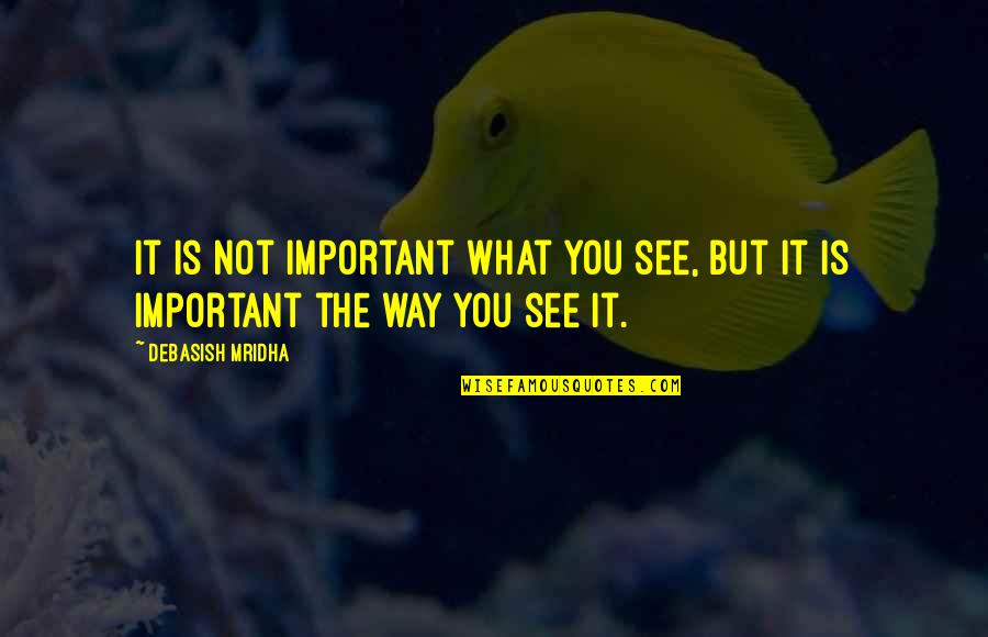 Grappolo Torhout Quotes By Debasish Mridha: It is not important what you see, but