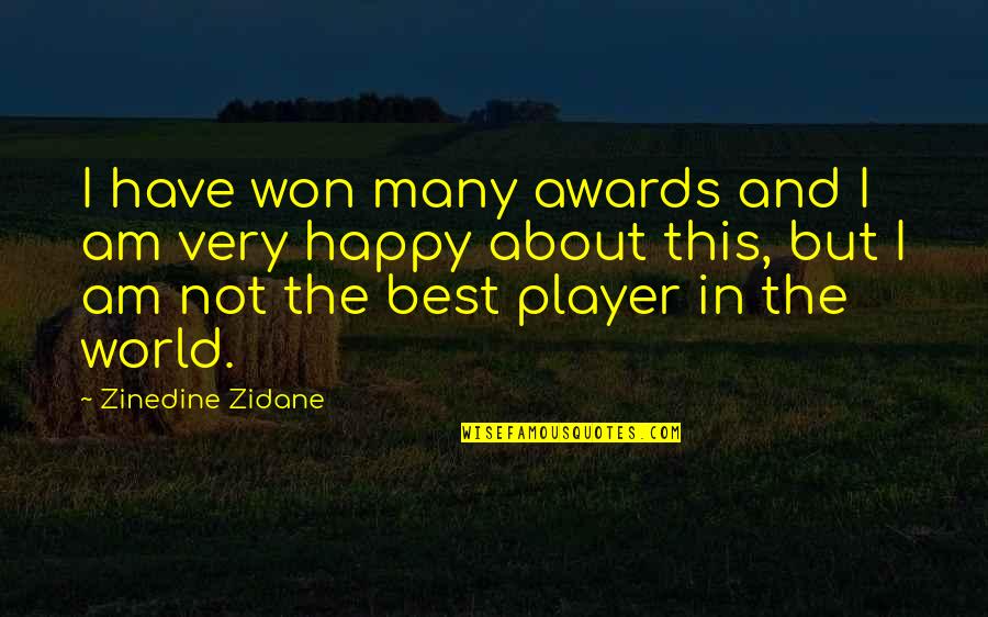 Grashof Number Quotes By Zinedine Zidane: I have won many awards and I am