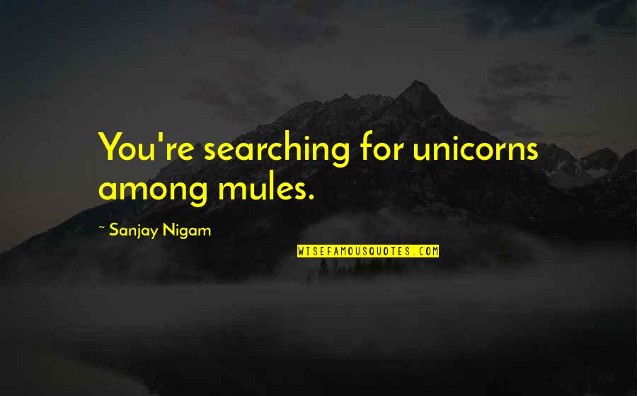 Grasiento En Quotes By Sanjay Nigam: You're searching for unicorns among mules. Grasiento En Quotes By Sanjay Nigam: You're searching for unicorns among mules.