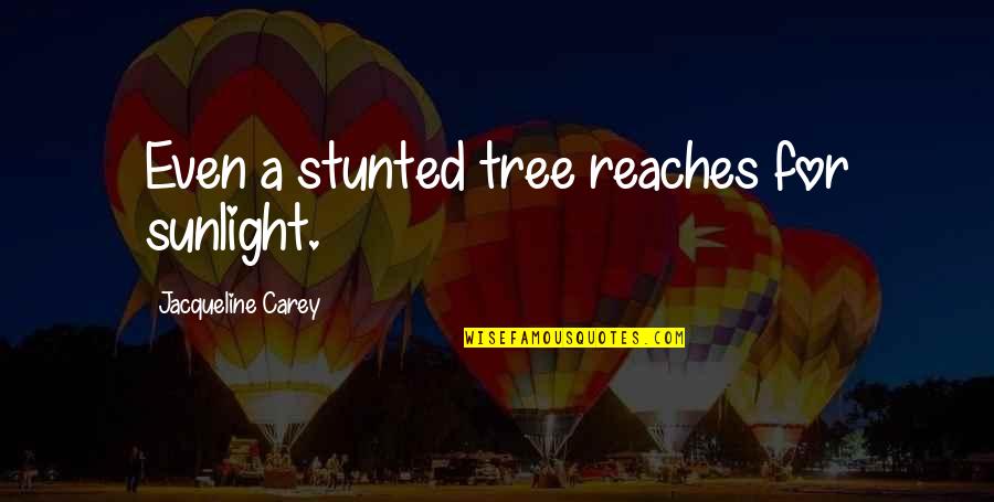 Grasping At Straws Quotes By Jacqueline Carey: Even a stunted tree reaches for sunlight.