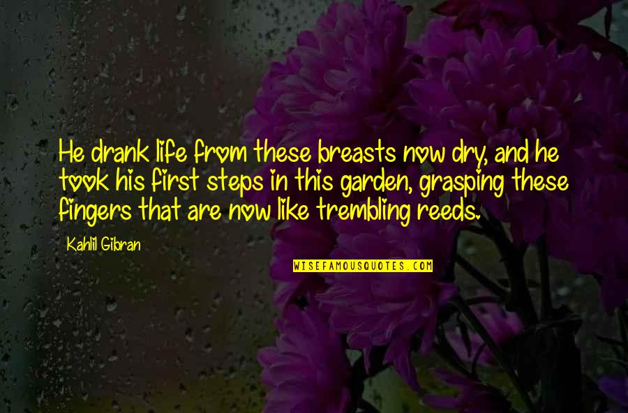 Grasping Quotes By Kahlil Gibran: He drank life from these breasts now dry,