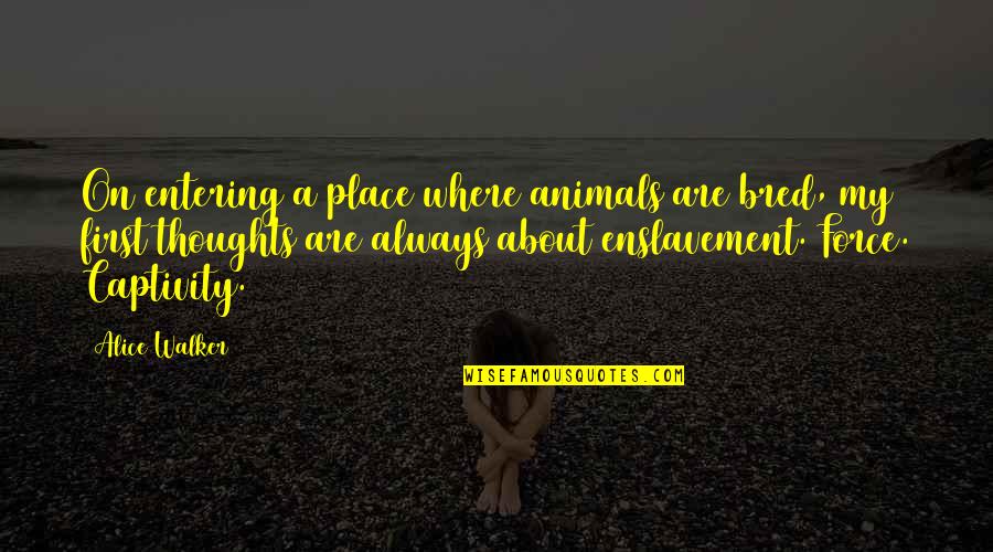 Grasping The Moment Quotes By Alice Walker: On entering a place where animals are bred, Grasping The Moment Quotes By Alice Walker: On entering a place where animals are bred,