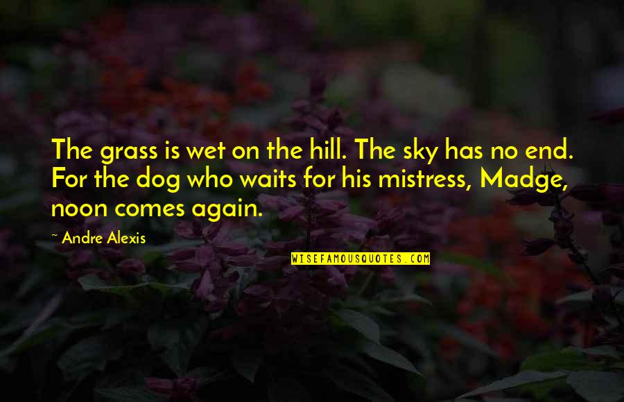 Grass And Sky Quotes By Andre Alexis: The grass is wet on the hill. The