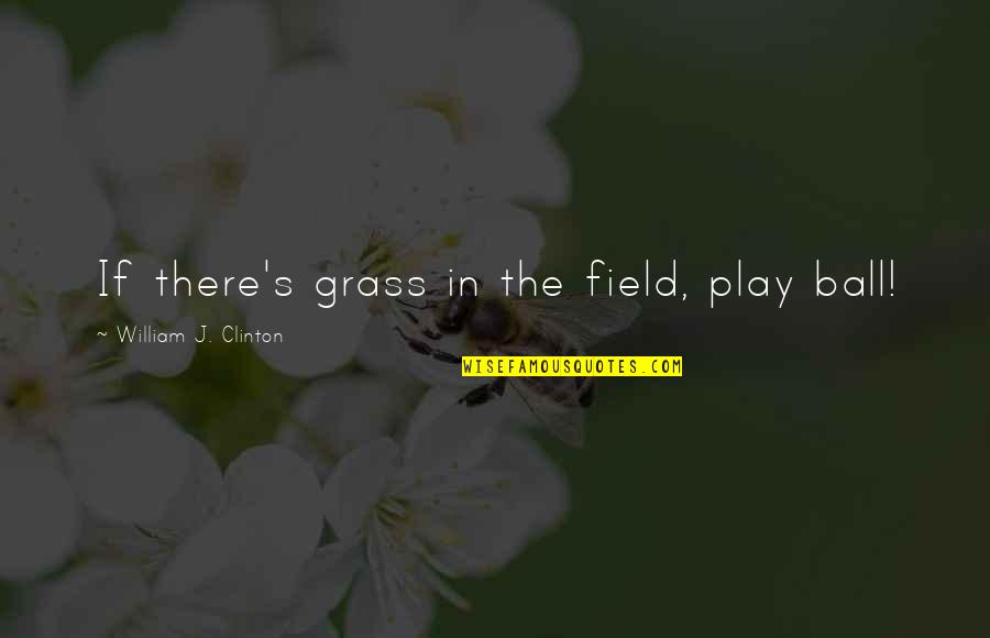 Grass Field Quotes By William J. Clinton: If there's grass in the field, play ball!