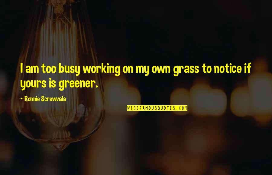 Grass In Greener Quotes By Ronnie Screwvala: I am too busy working on my own