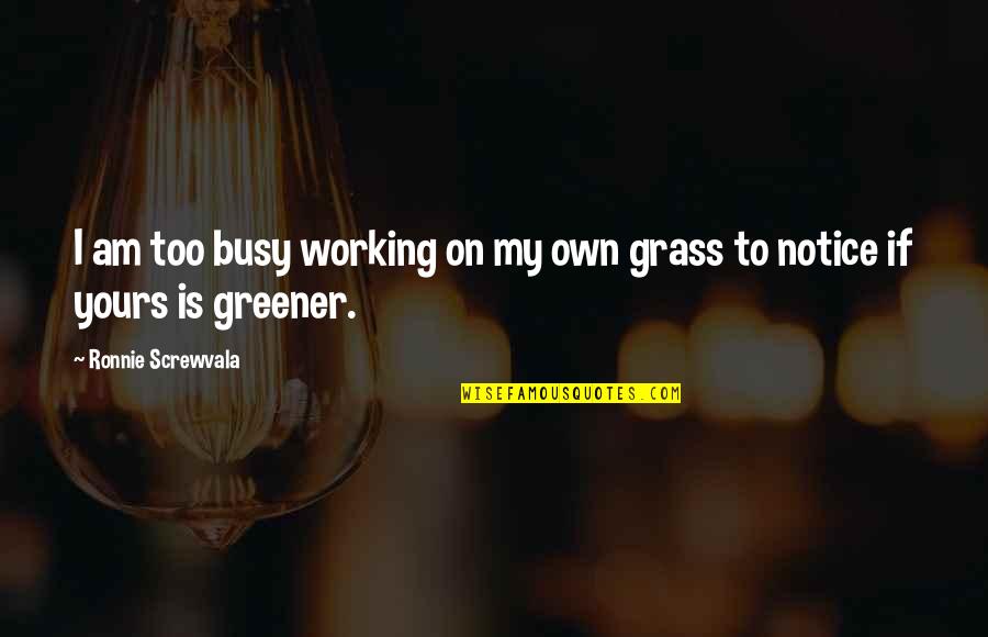 Grass Is Greener Quotes By Ronnie Screwvala: I am too busy working on my own