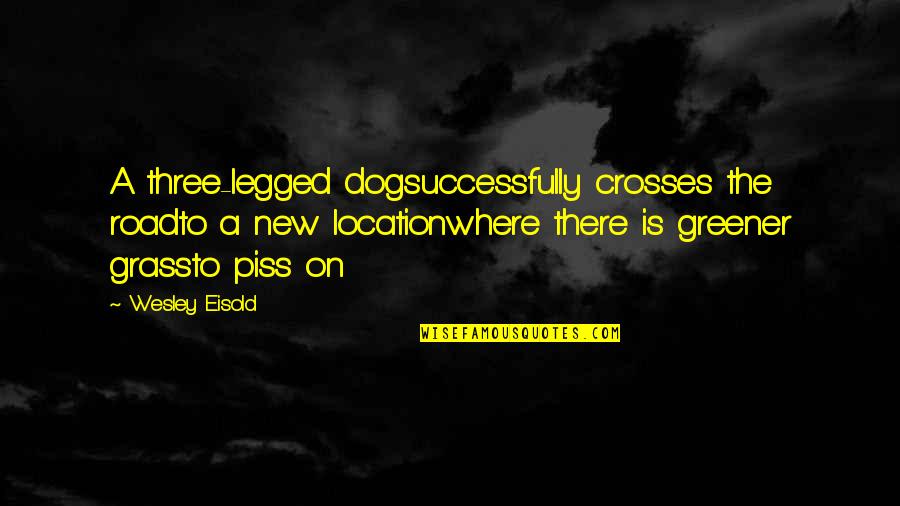 Grass Is Greener Quotes By Wesley Eisold: A three-legged dogsuccessfully crosses the roadto a new