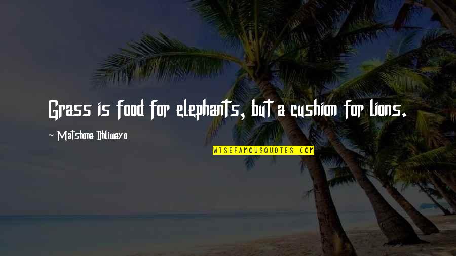 Grass Quotes And Quotes By Matshona Dhliwayo: Grass is food for elephants, but a cushion