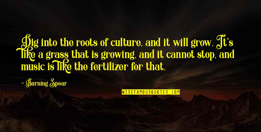 Grass Roots Quotes By Burning Spear: Dig into the roots of culture, and it Grass Roots Quotes By Burning Spear: Dig into the roots of culture, and it