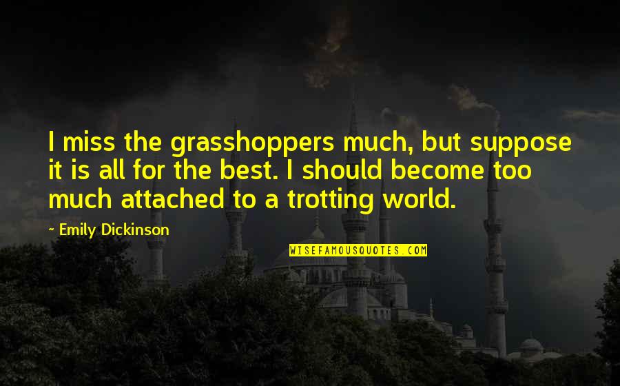 Grasshoppers Quotes By Emily Dickinson: I miss the grasshoppers much, but suppose it Grasshoppers Quotes By Emily Dickinson: I miss the grasshoppers much, but suppose it