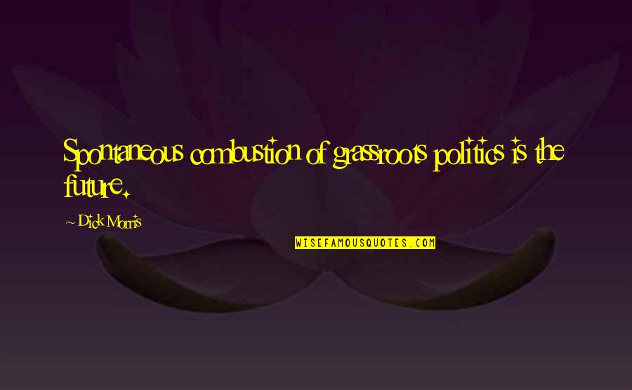 Grassroots Quotes By Dick Morris: Spontaneous combustion of grassroots politics is the future.