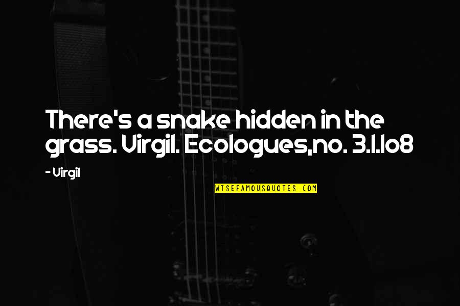 Grass's Quotes By Virgil: There's a snake hidden in the grass. Virgil.